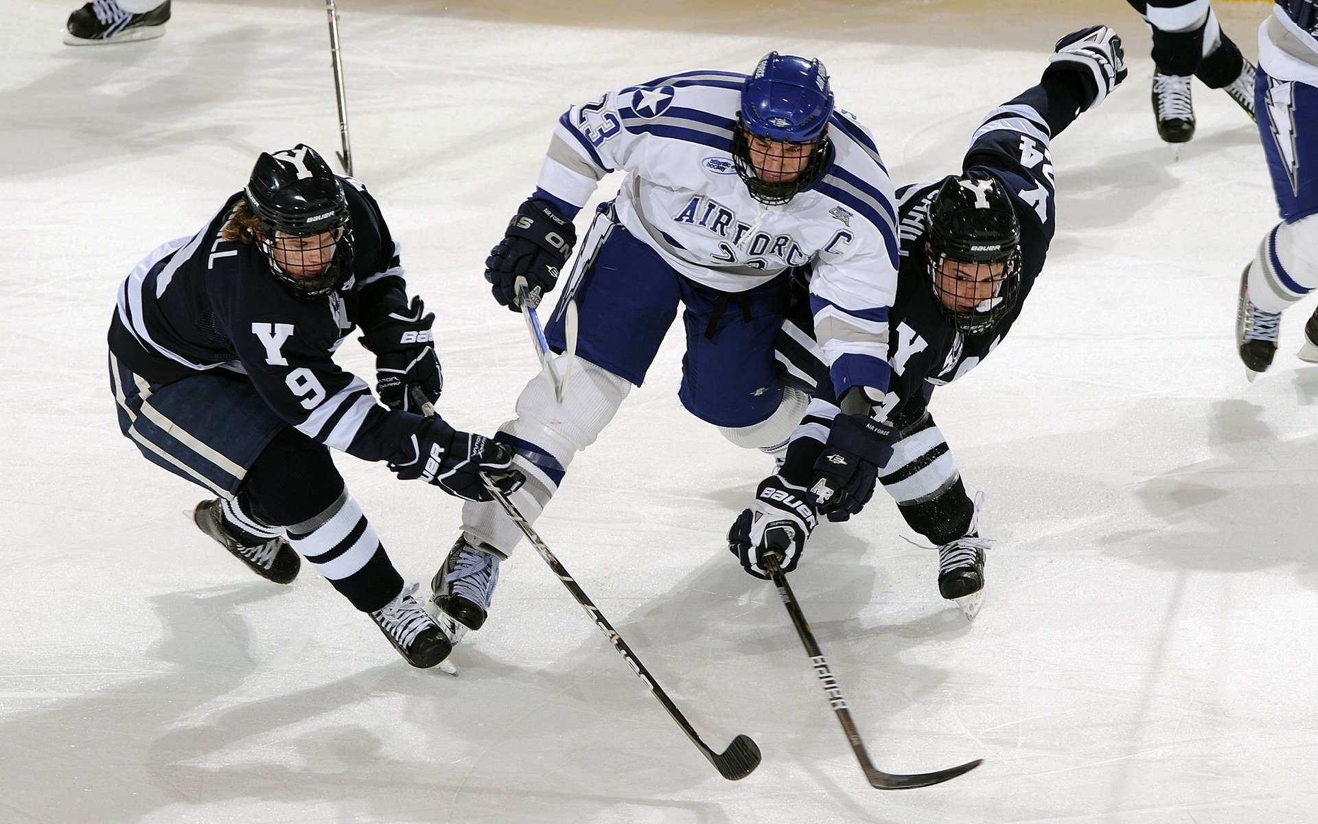 开云体育下载-法国反曲弓男女混合队在欧洲锦标赛中获得金牌，反曲弓进口品牌